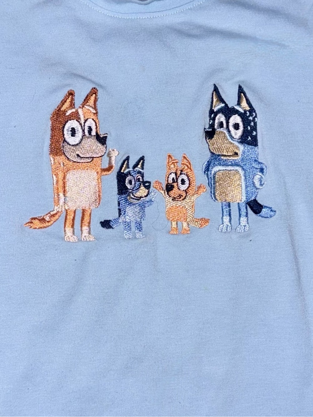 Abby & Evie Light Blue Embroidered Bluey Family Short Sleeve T-Shirt